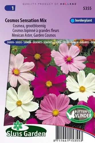 Mexican Aster - Garden Cosmos Sensation Mix