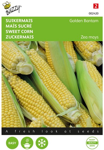 Sweet corn Golden Bantam - Buzzy
