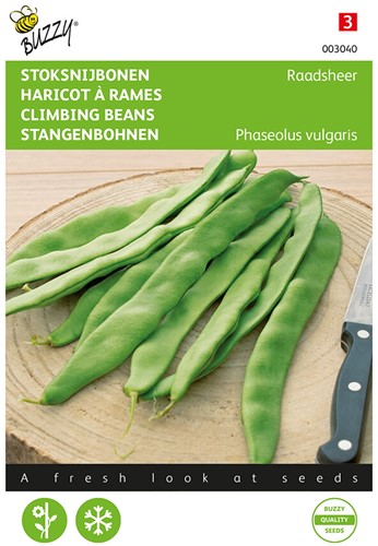 Climbing Beans Raadsheer - Buzzy