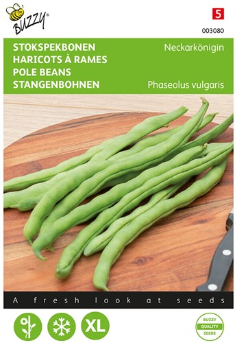 Pole Beans Type Neckarkoningin - Buzzy