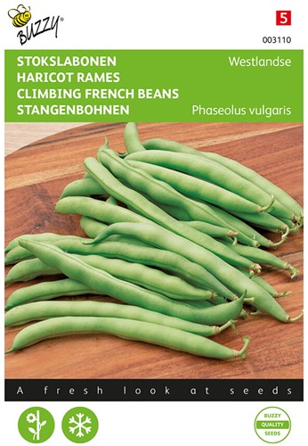 Pole Beans Westland - Buzzy