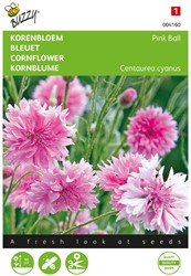 Cornflower Pink Ball - Buzzy