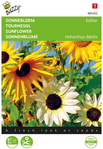 Sunflower mix Esther - Buzzy