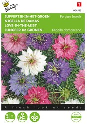 Love-in-the-Mist Persian Jewels - Nigella damascena