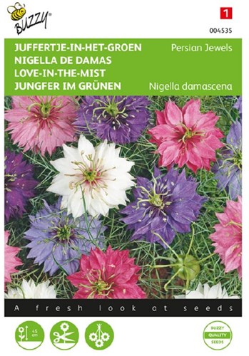 Love-in-the-Mist Persian Jewels - Nigella damascena
