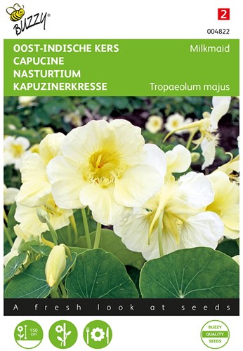 Nasturtium Milkmaid - Buzzy