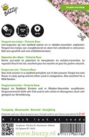 Vergeet-me-nietje Victoria Rose - Buzzy-2