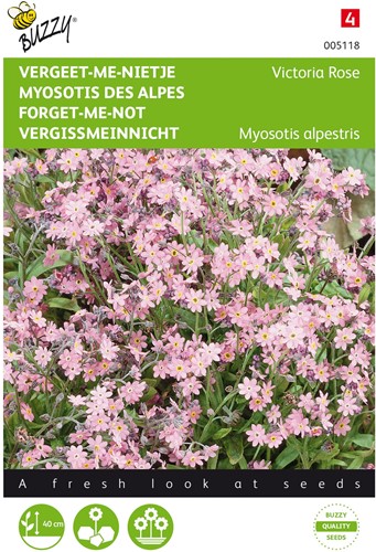 Forget-me-not Victoria Rose - Myosotis pink