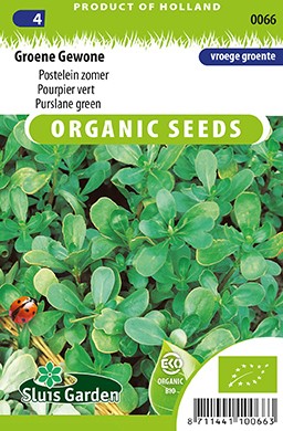 Purslane green EKO - Portulaca