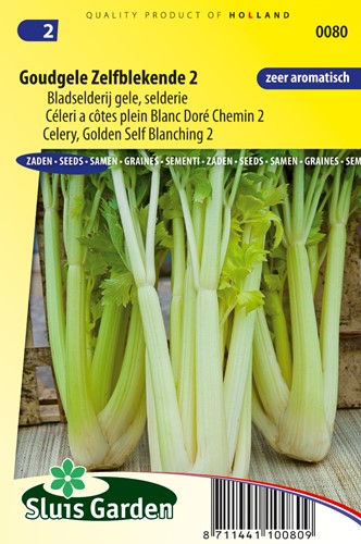 Celery Golden Self Blancing 2
