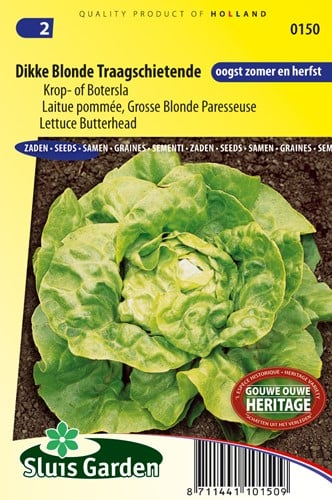 Lettuce Butterhead Dikke Blonde Traagschietende