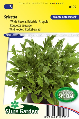 Rocket-salad, Wild Rocket Sylvetta