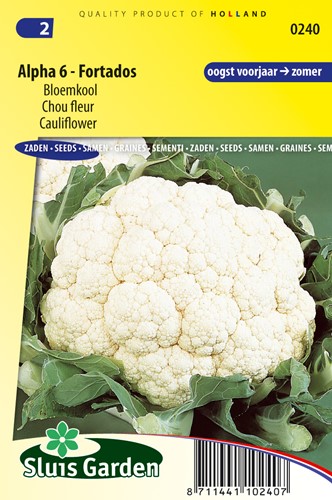Cauliflower Alpha 6 Fortados - Brassica oleracea