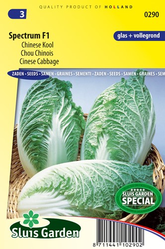Chinese cabbage Spectrum F1