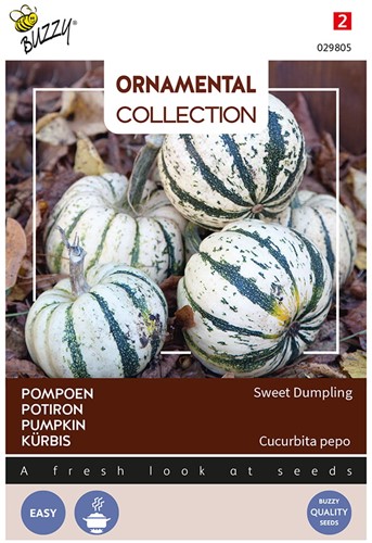 Squash Sweet Dumpling - Ornamental Collection
