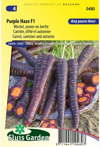 Carrot Purple Haze F1 - Daucus carota