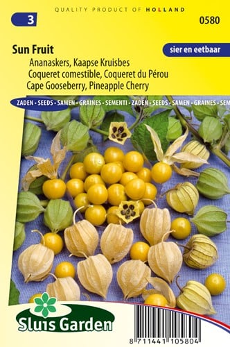 Pineapple Cherry SunFruit (Cape Gooseberry)