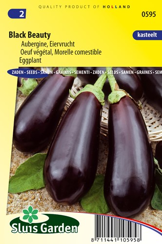 Eggplant Black Beauty