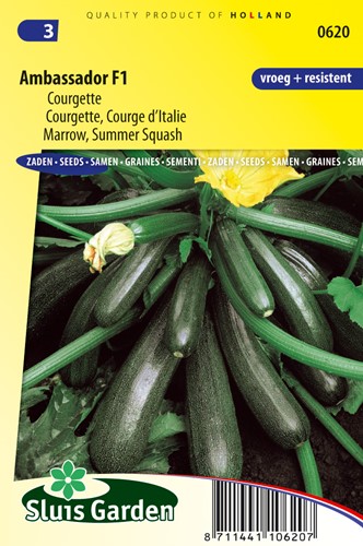 Marrow, Summer Squash Ambassador F1