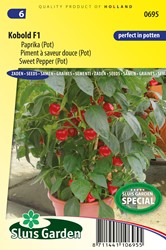 Sweet pepper Kobold F1 PATIO