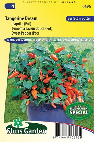 Sweet pepper Tangerine Dream (pot)