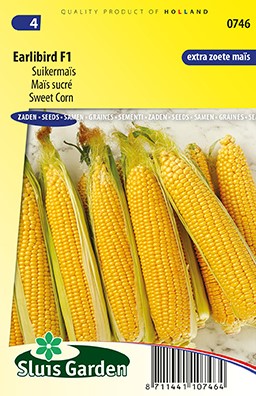 Sweet Corn Earlibird F1 - Zea Mays