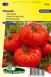 Tomato Marmande