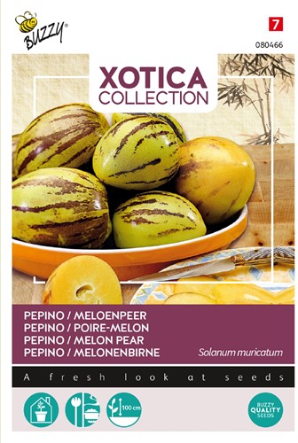 Pepino Melon pear - Xotica Collection