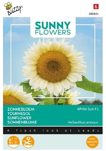 Sunflower White Sun F1 - Sunny Flowers