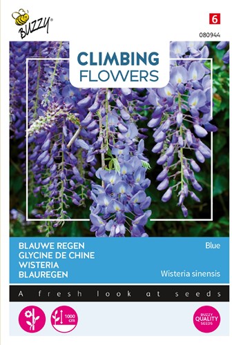Wisteria Blue - Climbing Flowers