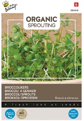 Broccoli Sprouts - Buzzy Organic Sprouts