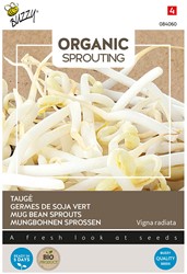 Mug Bean Sprouts - Buzzy Organic Sprouting