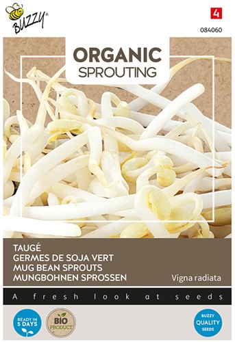 Mug Bean Sprouts - Buzzy Organic Sprouting