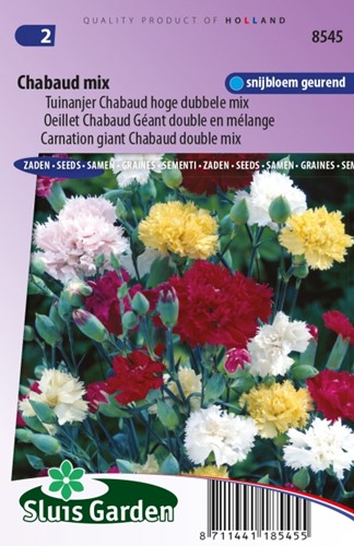 Carnation Chabaud Mix – Dianthus Chabaud