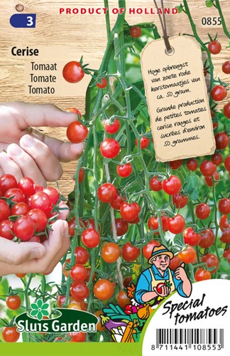 Tomato Cerise