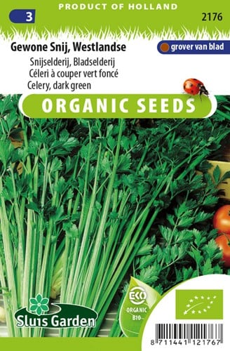 Celery, dark green, Westlandse EKO