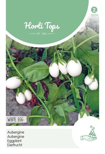 Egg Plant White Egg - Horti Tops
