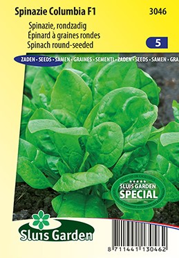 Spinach Columbia F1 (spring/summer crop)