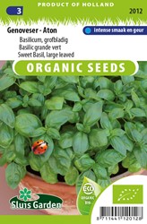 Sweet Basil, large leaved Genoveser - Aton EKO