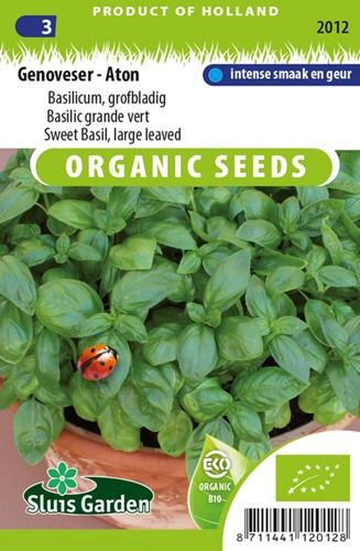 Sweet Basil, large leaved Genoveser - Aton EKO