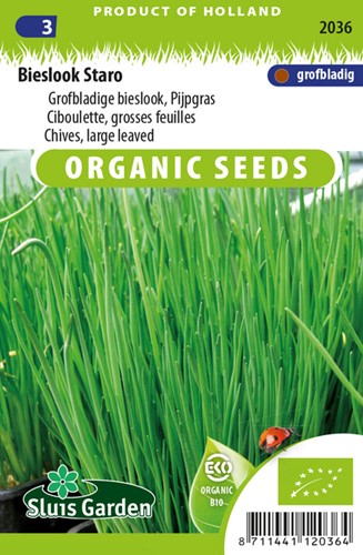 Chives Large leaved EKO