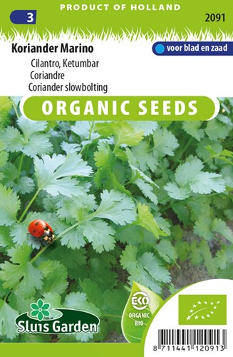 Coriander slowbolting (Coriandrum sativum) EKO