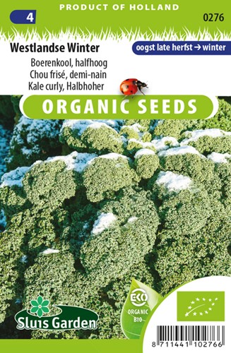 Curly Kale Winter EKO (Westlandse Winter)