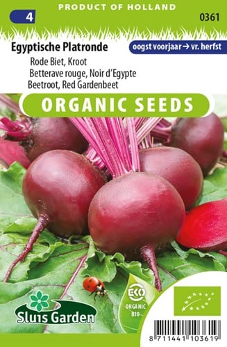 Beetroot, Red Gardenbeet Egyptian flat round EKO