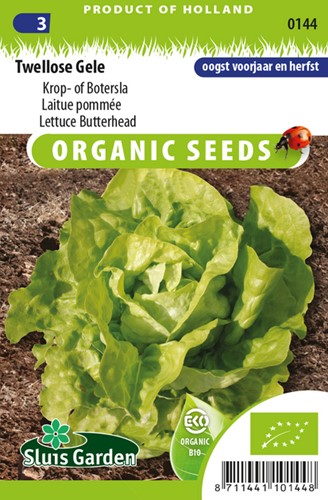 Lettuce Butterhead Twellose Gele EKO