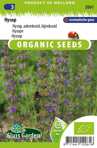 Hyssop EKO