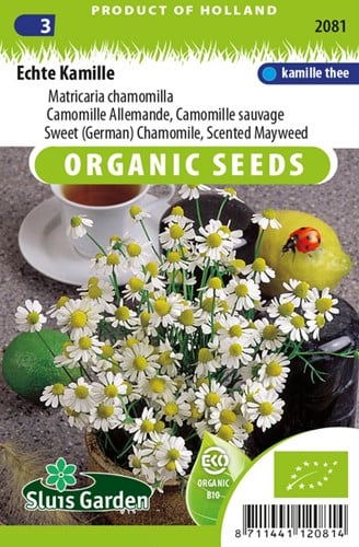 Sweet German Chamomile - Matricaria chamomilla EKO