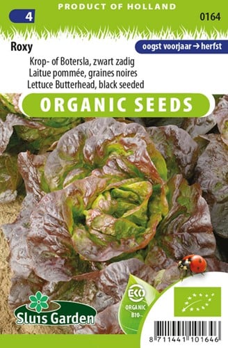 Lettuce Butterhead black seeded Roxy EKO