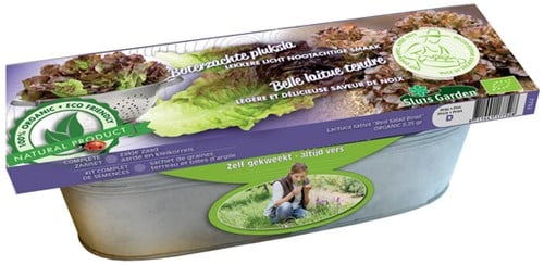 Kit Salad Red Salad Bowl ORGANIC