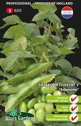 Soya bean Fiskeby V